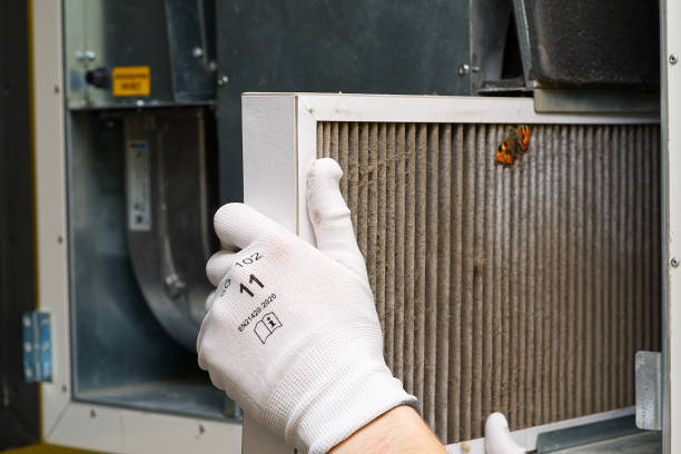 Best Dryer Vent Cleaning Services  in Adwolf, VA