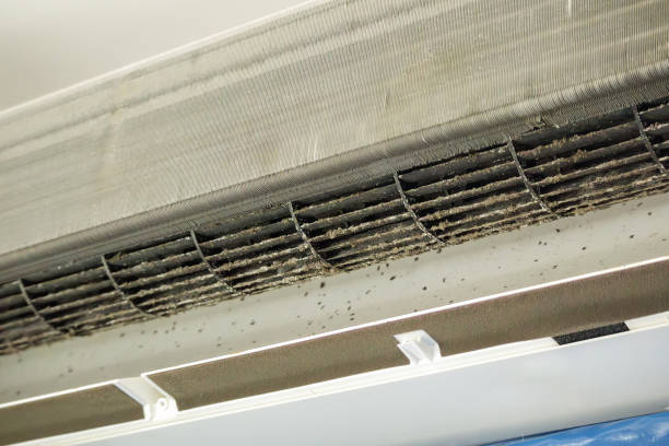 Best Air Duct Cleaning Near Me  in Adwolf, VA